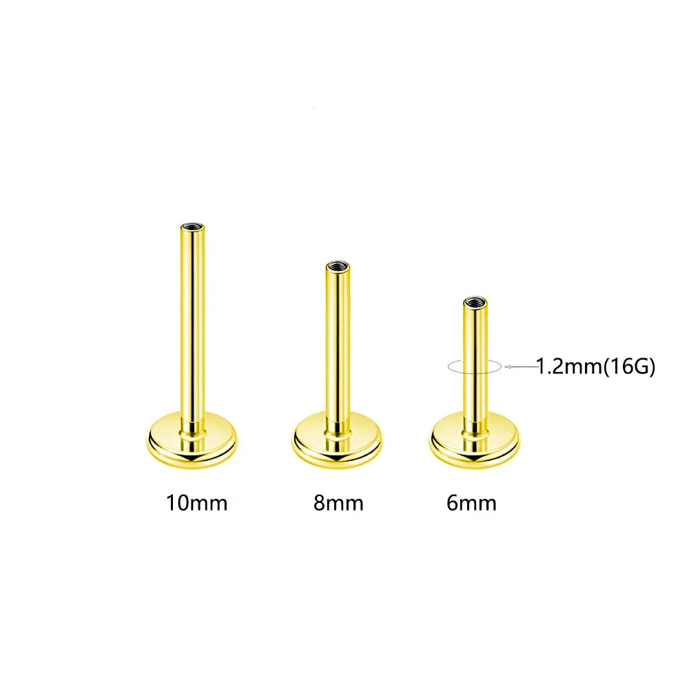 Leaf Helix Piercing Jewelry Forward Helix CZ Earring 100% 316L Stainlesss Steel Internally Threaded Tragus Stud